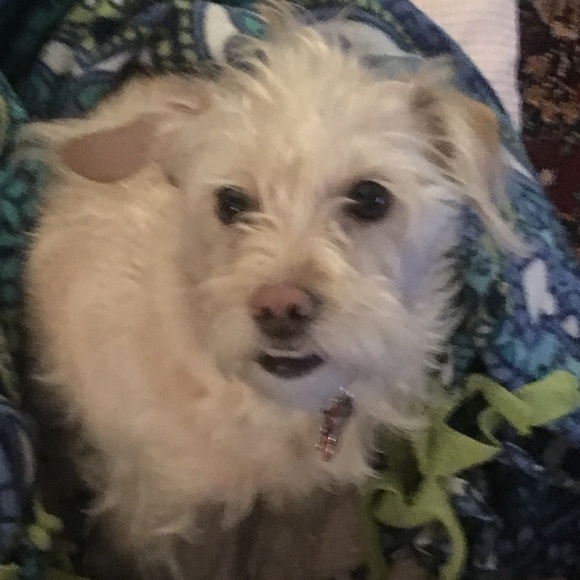 Meet your Posher, Melanie - Picture 1 of 1